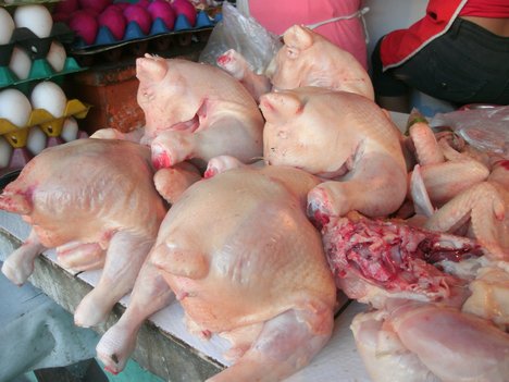 Frozen chicken, Packaging Type : Vacuum-sealed