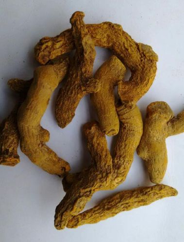 Turmeric Finger