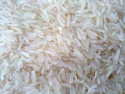 Hard Organic Basmati Rice, Style : Dried
