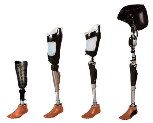 Orthopedic Prosthesis