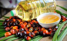 Palm Oil