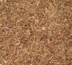 Dill Seeds, Cultivation Type : Organic