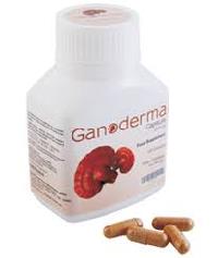 Ganoderma Capsule