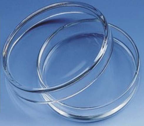 Petri Dish