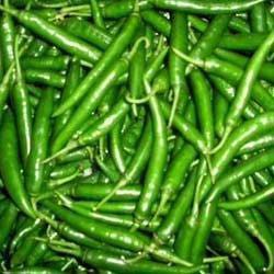 Fresh Green Chilli