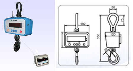 Crane Scales