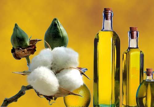 Cottonseed Oil, Packaging Type : Glass Bottle