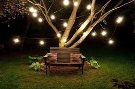 Garden Lights