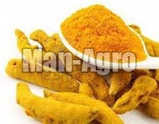 Turmeric Powder