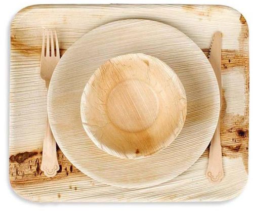 Areca Leaf Plate