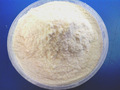 Serratiopeptidase Enteric Coated Granules