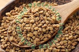 Organic Fenugreek Seeds, Packaging Type : Jute Bags, Plastic Packets