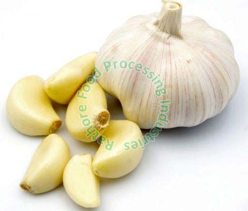 Garlic, Color : White