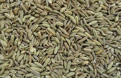 PREM Fennel Seeds, Color : GREEN
