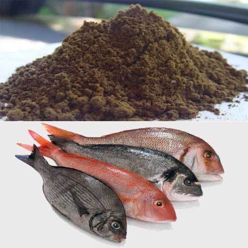 Fish meal, Salt : 2%