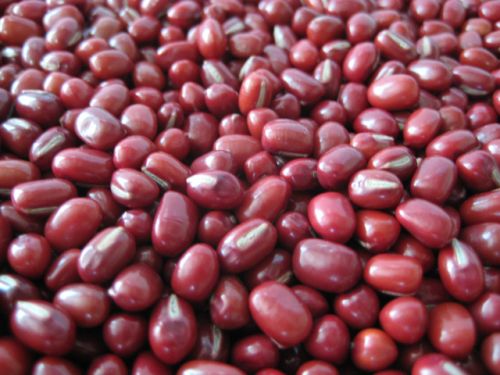 Azuki Beans