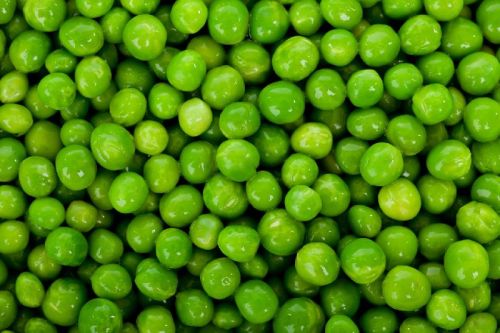 Fresh Green Peas, Application : Cooking