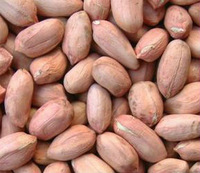 Groundnut kernels