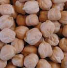 New Crop Kabuli Chickpeas 9 Mm, 2014 From South Africa
