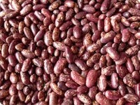 Red kidney beans