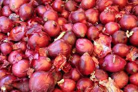 Fresh Red Onions