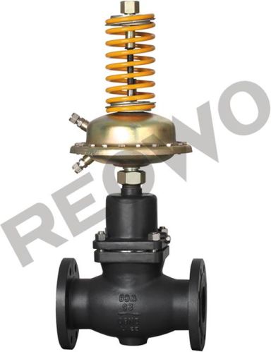 The 30d04y 30d04r Self-operated Differential Pressure Control Valve