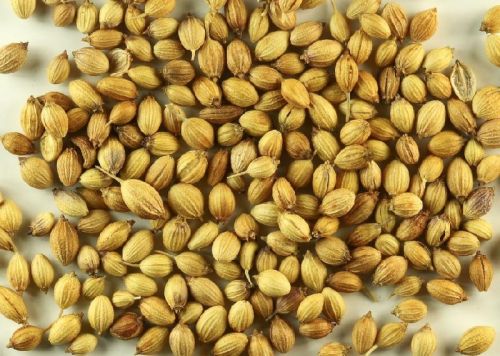 Coriander seeds, Grade Standard : Food Grade