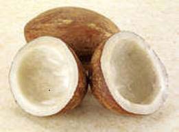 Dry Coconut