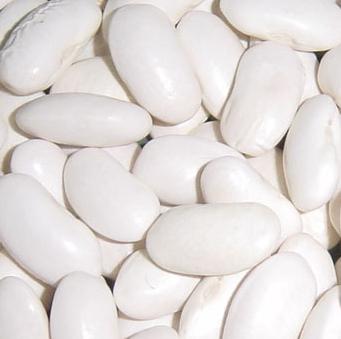 White Kidney Bean Extract, Packaging Type : Off-white