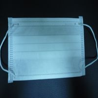 Cleanroom Low / No Lint Face Mask--lowest Factory Price From Mass Production In China