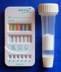 Urine Test Kit