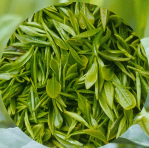 Organic Green Tea Extract