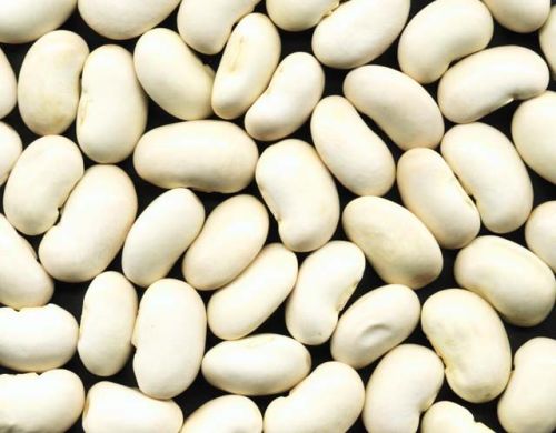 White Kidney Bean Extract