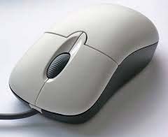 Computer Mouse