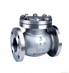 Swing Check Valve