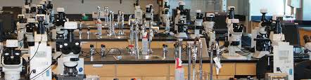 Laminated Glass Zoology Lab Equipment, Variety : Flask, Glass, Microscope, Tubes Bowl, Etc.