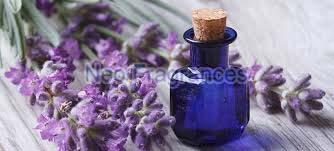 Neo Fragrances Lavender Oil., Certification : GCMS