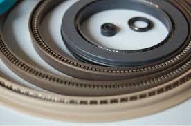 PTFE Seal