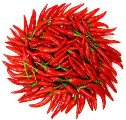 Organic Fresh Red Chili, Packaging Type : Jute Bag, Loose, Paper Box