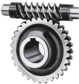 Worm Wheel Gear