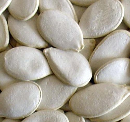 Snow White Pumpkin Seeds