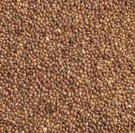 Millet Seeds