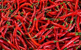 Fresh Red Chilli