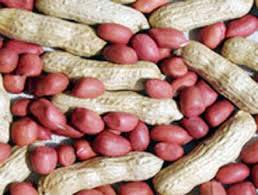 Shelled Groundnuts