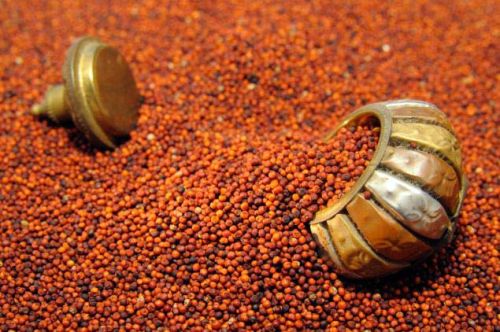 Finger millet seeds, Color : Brown