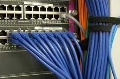 Networking Switches