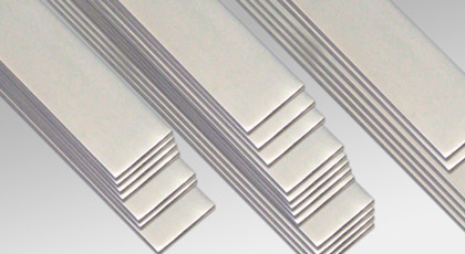 Stainless Steel Strips