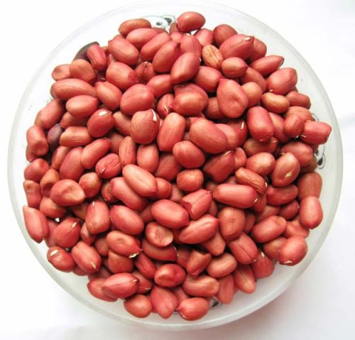 Peanut Kernels