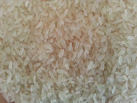 Organic Hard Parboiled IR-8 Rice