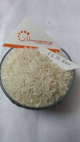 PR-14 Raw Non Basmati Rice, Variety : Medium Grain